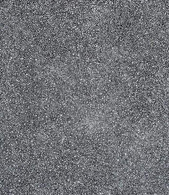 rotraut701