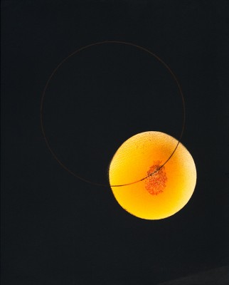 rotraut345